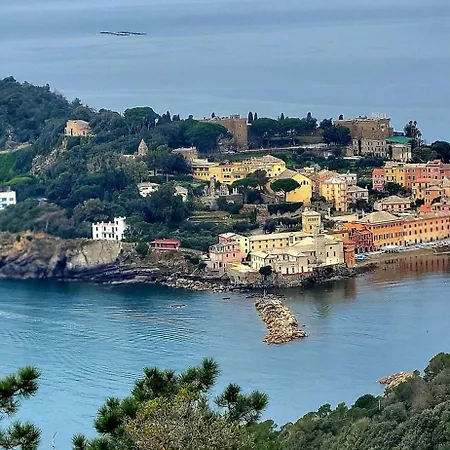 Ocean Blue * Chiavari